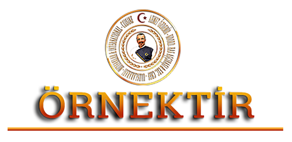 ORNek turk sefi-osmanli mutfagi-danismanlik